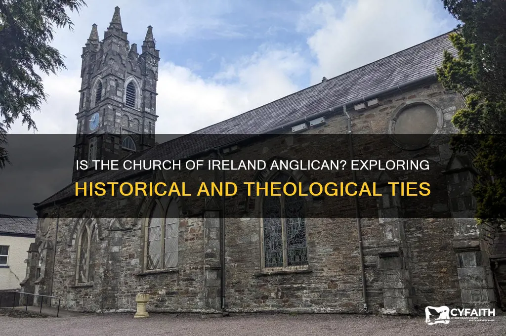 is church of ireland anglican