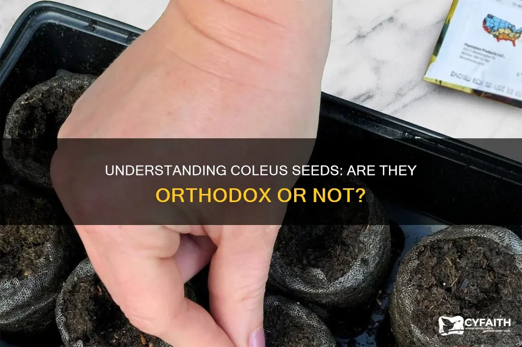 is coleus an orthodox seed