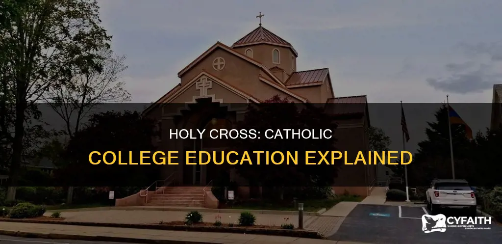 is college of the holy cross catholic