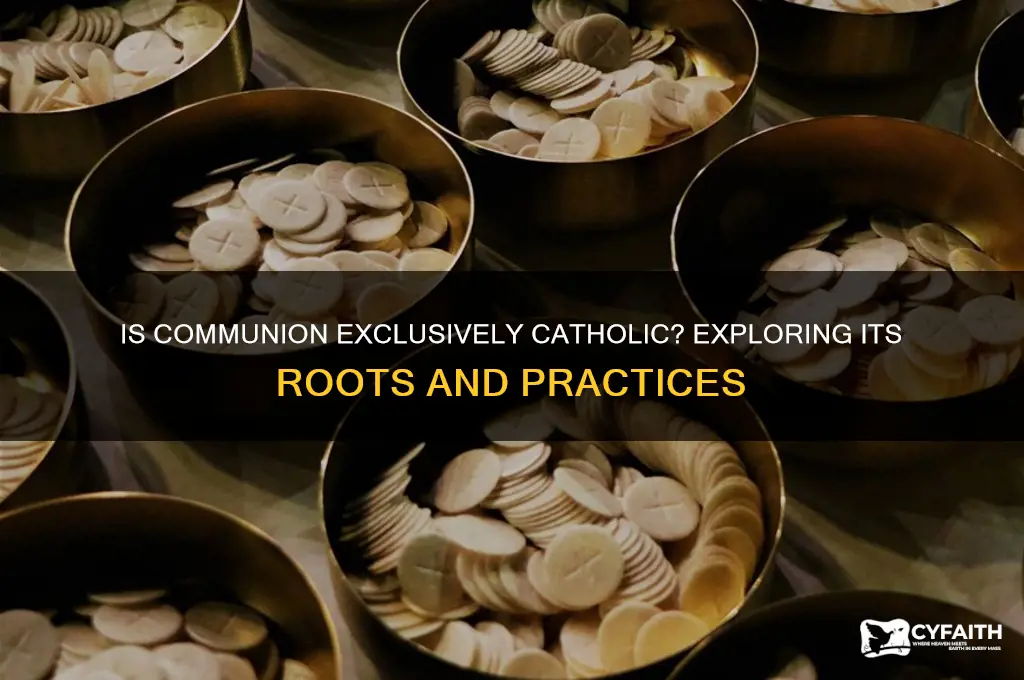 is communion a catholic thing