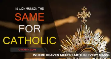 Communion: Catholic Practice Explained in Simple Terms