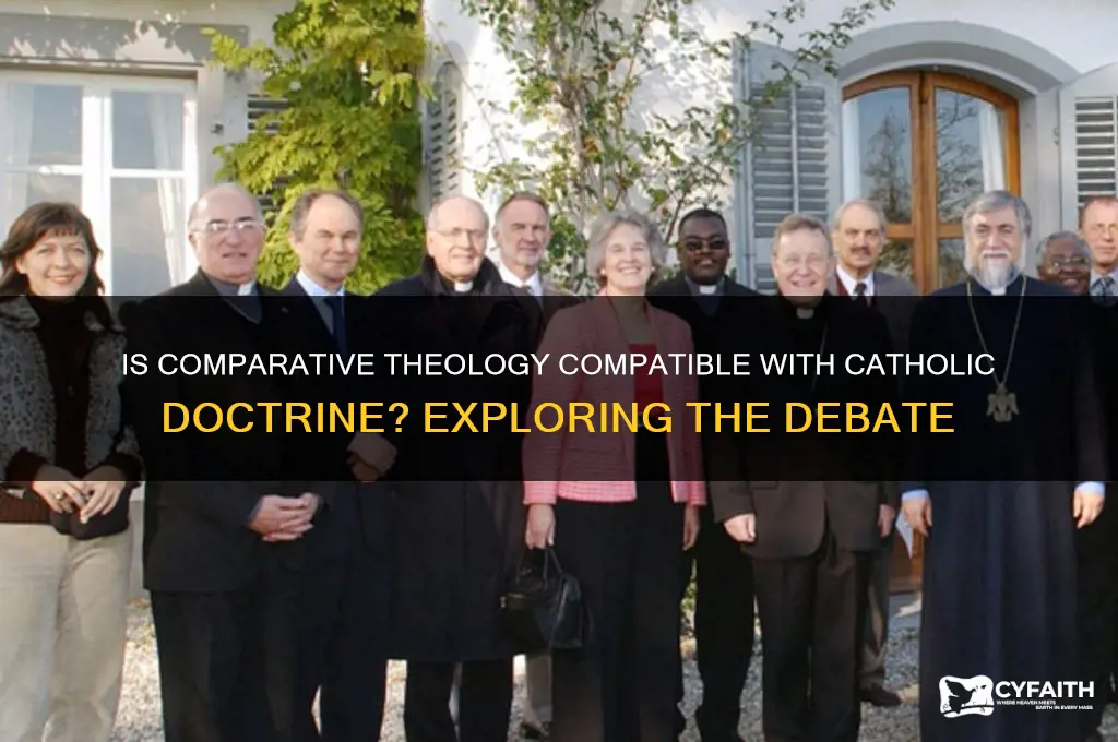 is comparitive theology catholic article