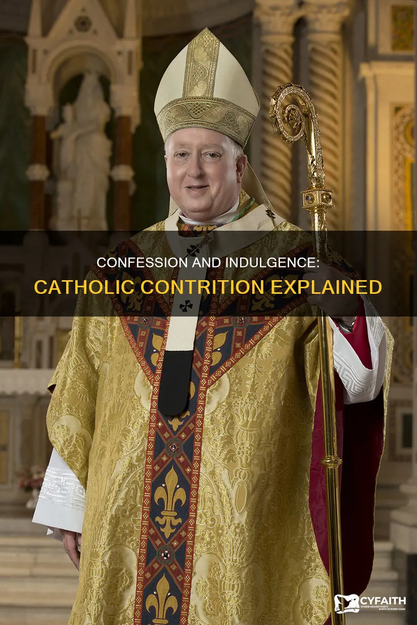 is confession a type of catholic indulgence