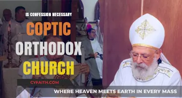 Is Confession Essential in the Coptic Orthodox Church? Exploring Its Role