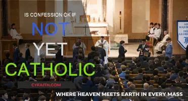 Confessing Sins Before Becoming Catholic
