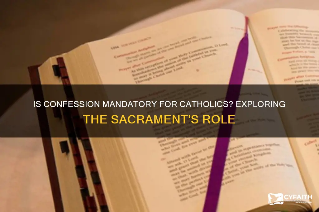 is confession required for catholics