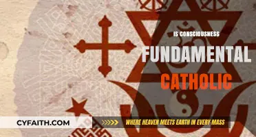 Is Consciousness Fundamental in Catholic Theology? Exploring Faith and Mind