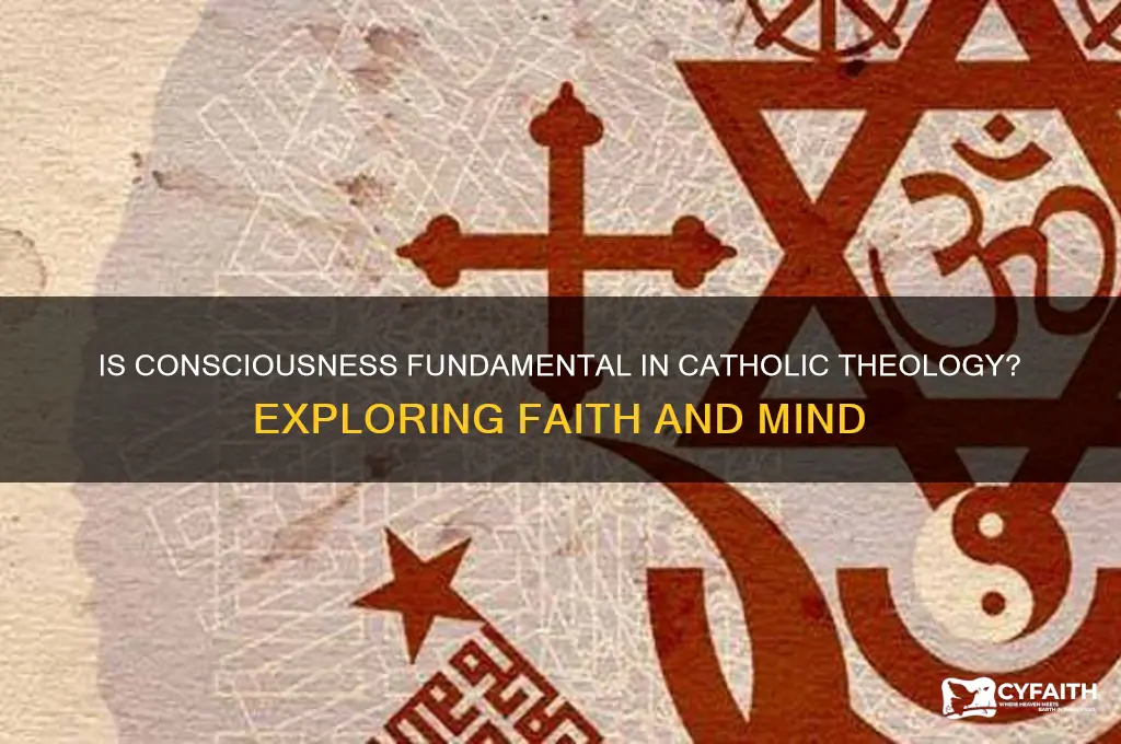 is consciousness fundamental catholic
