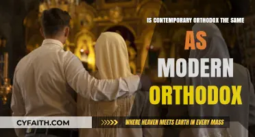 Contemporary vs. Modern Orthodox: Understanding the Key Differences