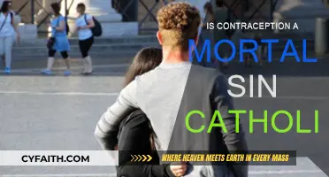 Contraception and Catholicism: Mortal Sin?