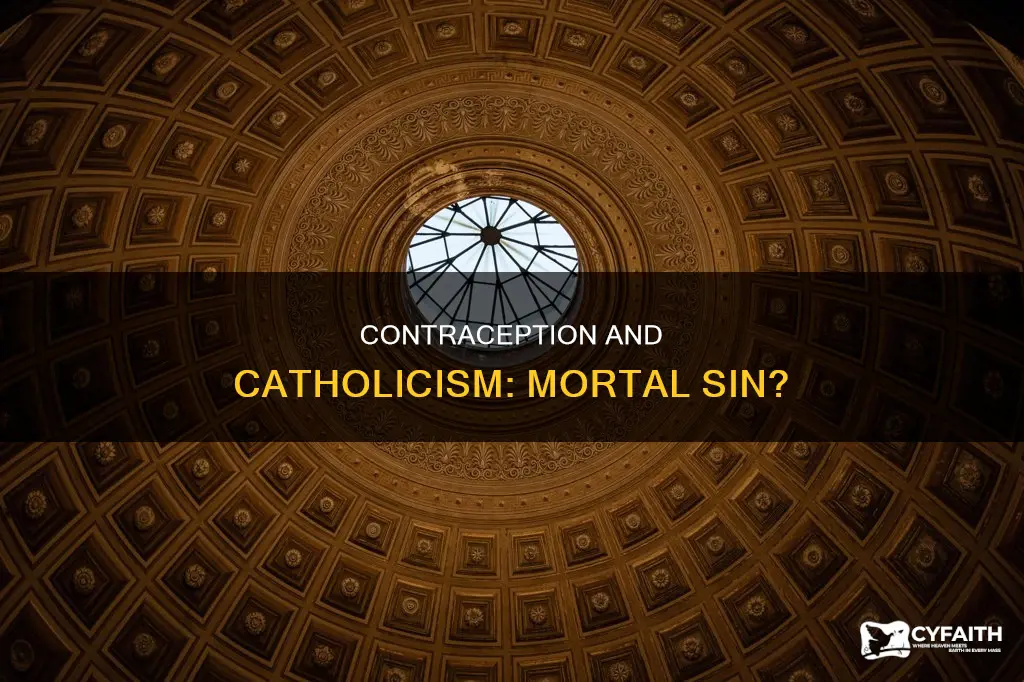 is contraception a mortal sin catholic