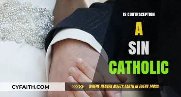 Is Contraception a Sin? Exploring Catholic Teachings and Beliefs
