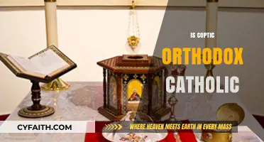 Coptic Orthodox and Catholic: Understanding Their Distinct Theological Traditions