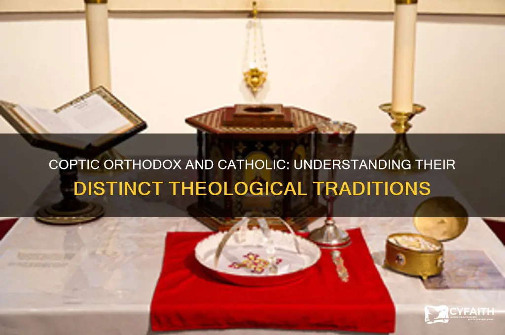 is coptic orthodox catholic