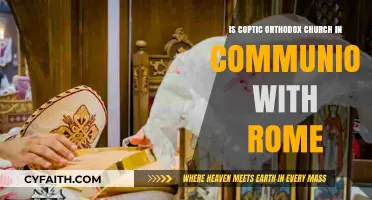 Coptic Orthodox and Rome: Are They in Communion?