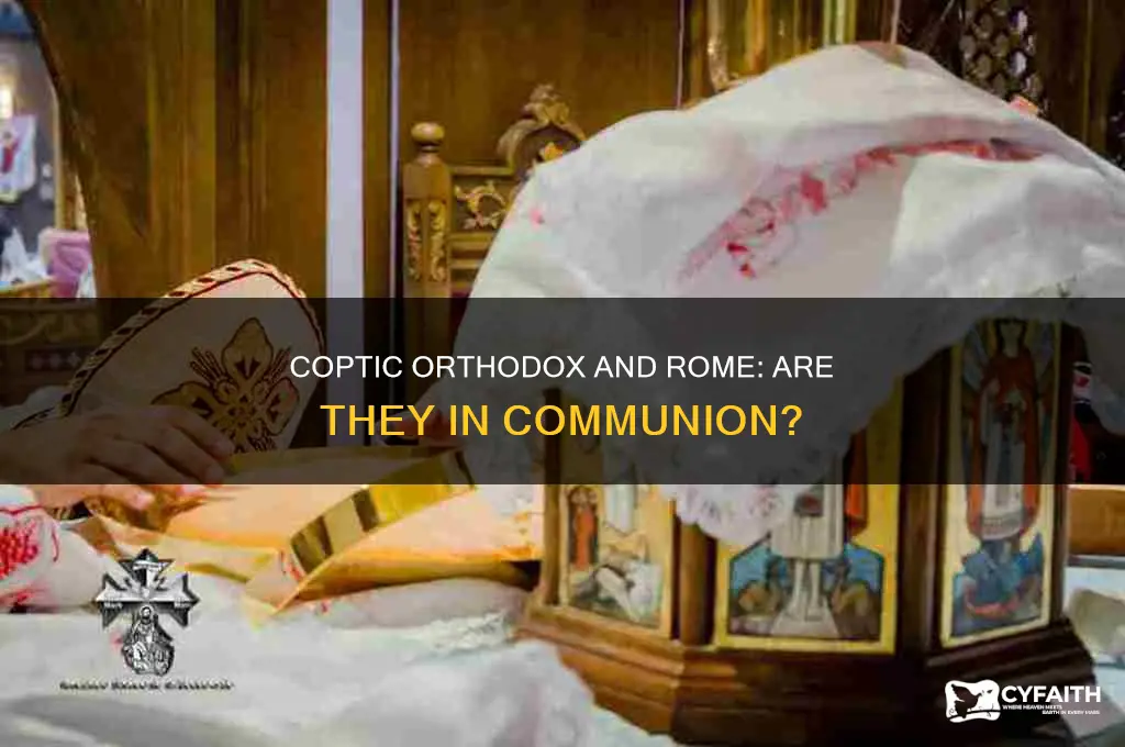 is coptic orthodox church in communion with rome