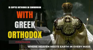 Coptic and Greek Orthodox: Are They in Communion?