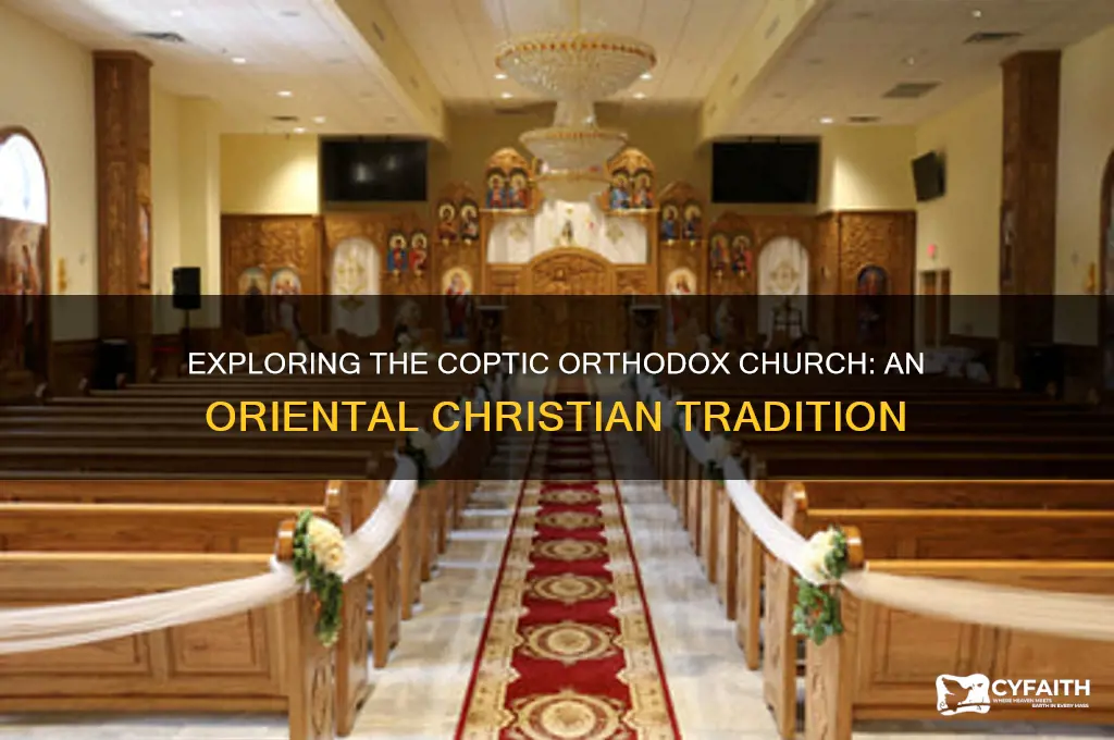 is coptic orthodox oriental