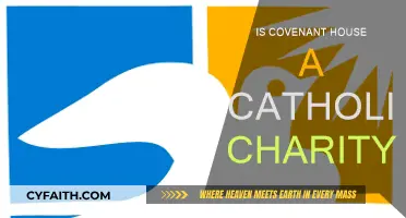 Covenant House: Catholic Charity or Not?