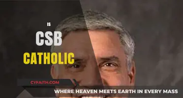 Is CSB Catholic? Exploring the College's Religious Affiliation and Values
