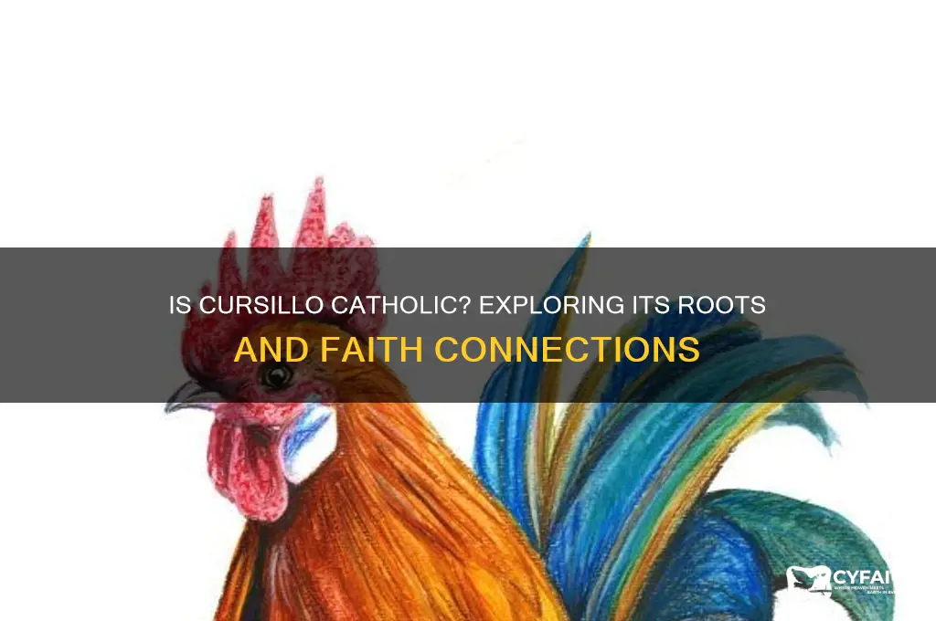 is cursillo catholic