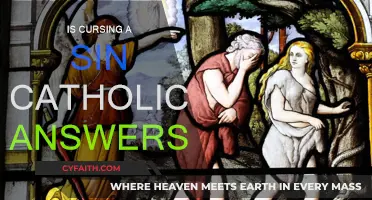 Cursing: A Sin or Not? Catholic Views