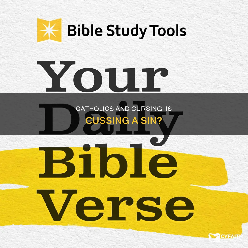 is cussing a sin catholic answers