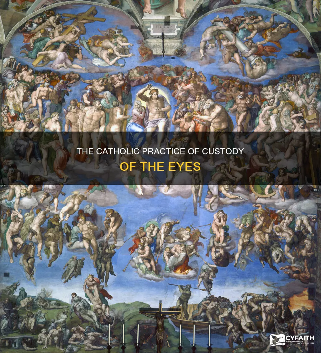 is custody of the eyes catholic