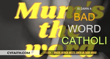 Is "Damn" a Sinful Word for Catholics to Use?