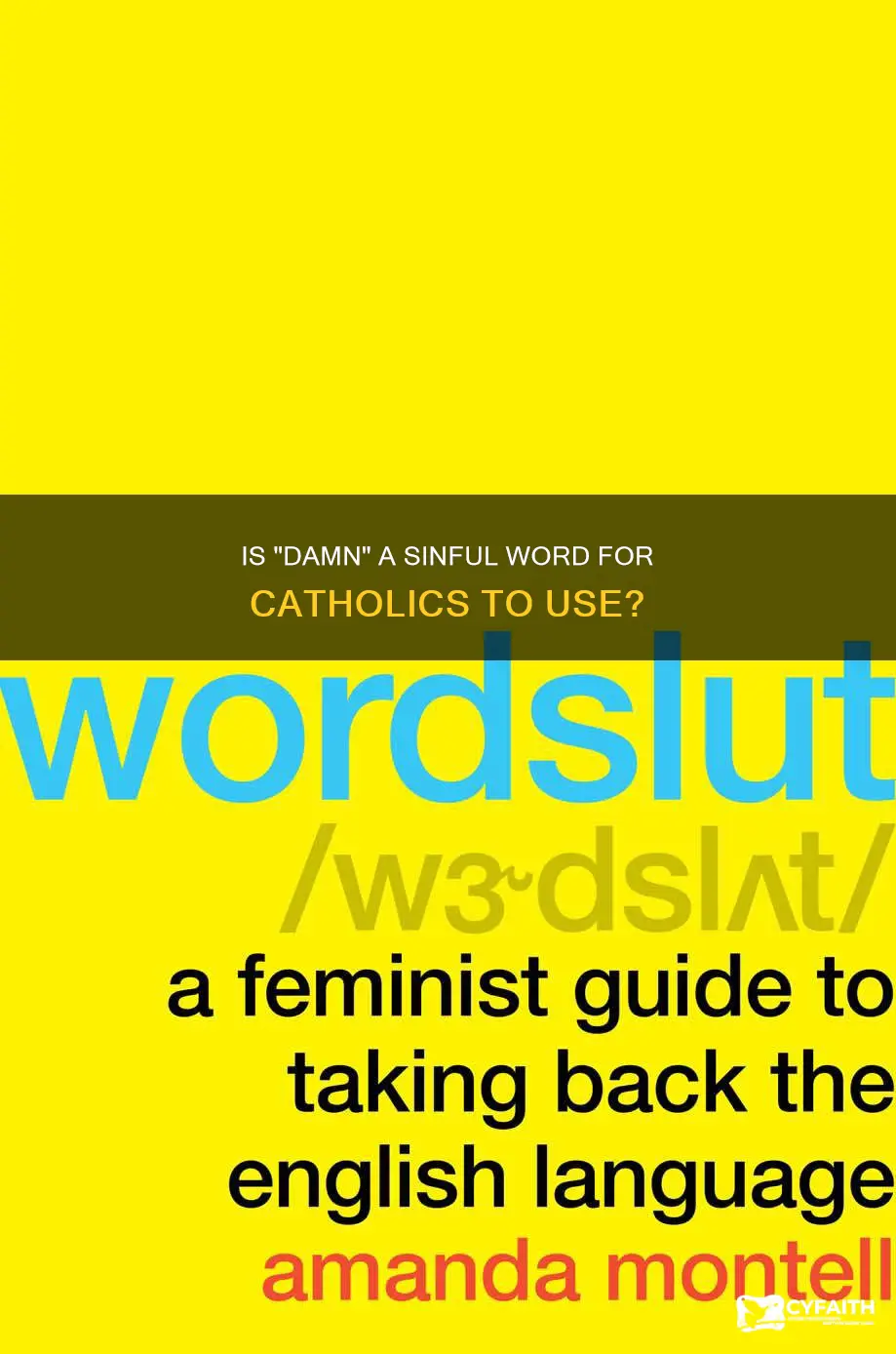 is damn a bad word catholic