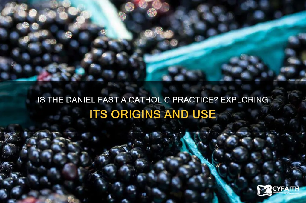 is daniel fast catholic practice