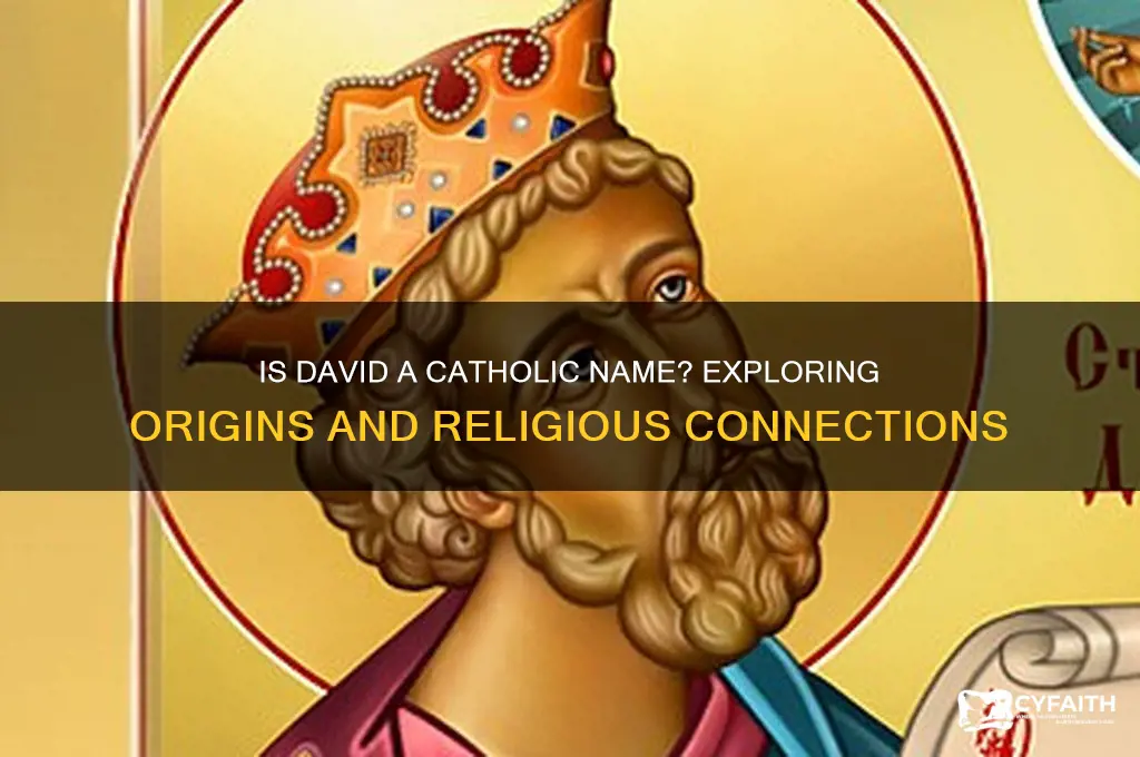 is david a catholic name