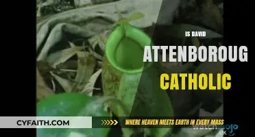 Exploring David Attenborough's Faith: Is He Catholic or Not?