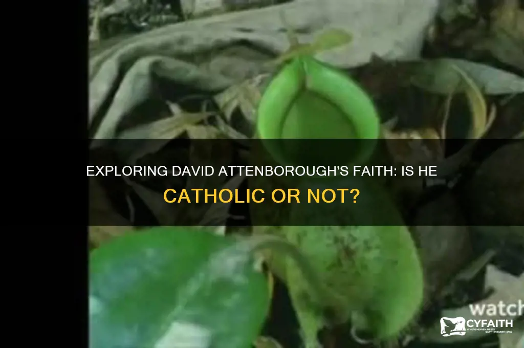 is david attenborough catholic