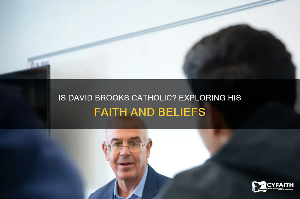 is david brooks a catholic