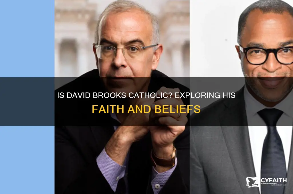 is david brooks catholic