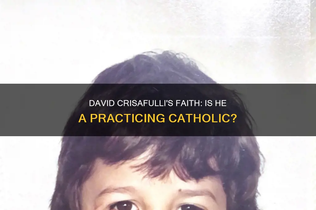 is david crisafulli catholic