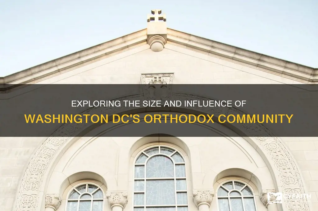 is dc orthodox community big