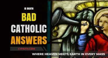 Is Death Bad? Catholic Perspectives on Mortality and Eternal Life