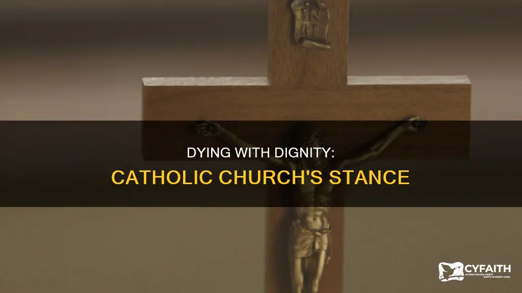 is death with dignity against catholic religion