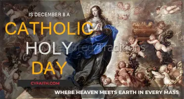 Holy Day of Obligation: Immaculate Conception
