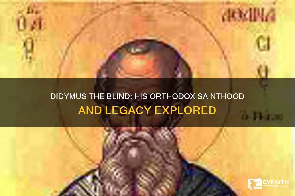 is didymus the blind an orthodox saint