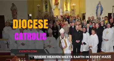 Understanding the Diocese: Its Role and Connection to Catholicism