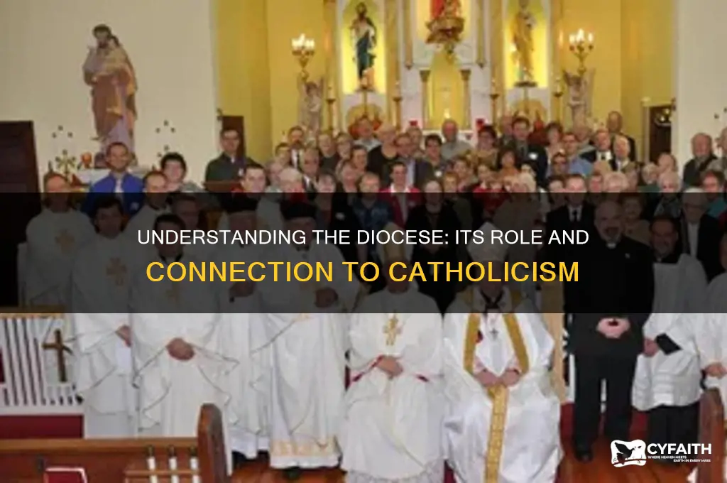 is diocese catholic
