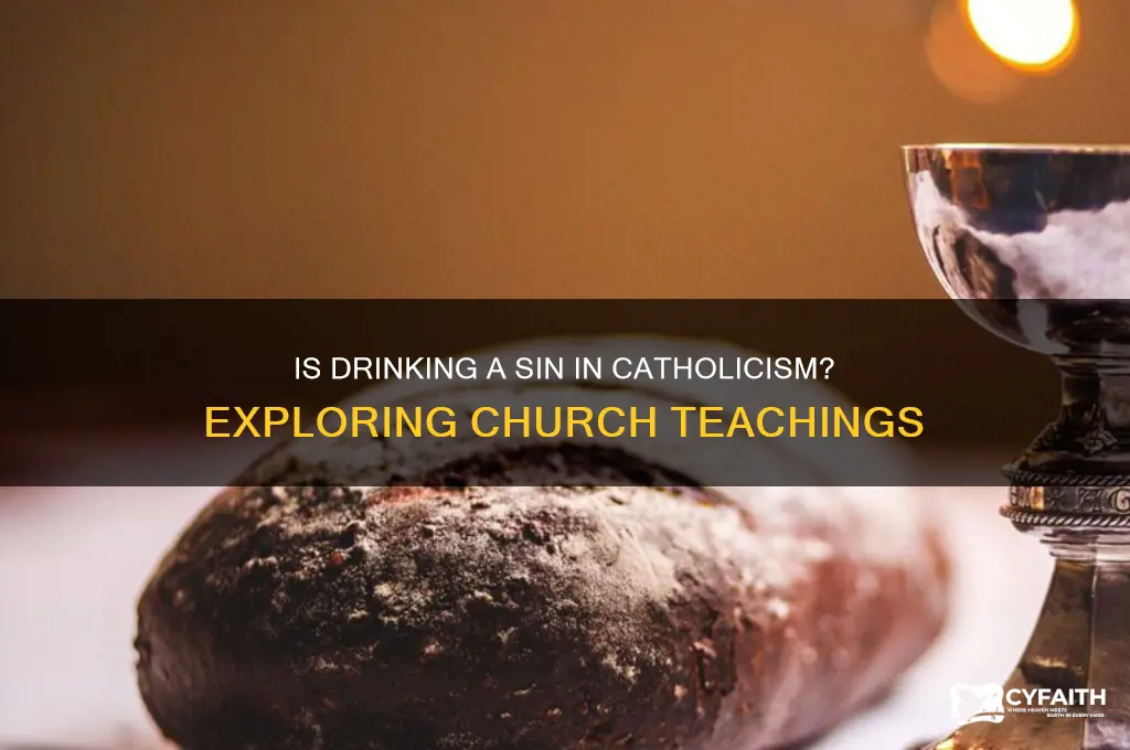 is drinking a sin catholic