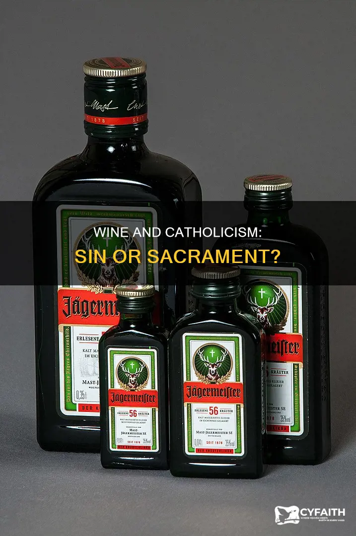 is drinking wine a sin catholic