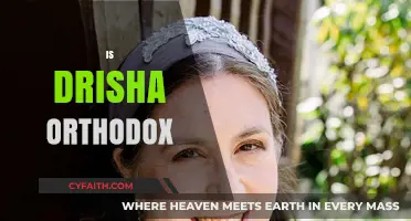 Is Drisha Orthodox? Exploring Jewish Learning and Tradition Today