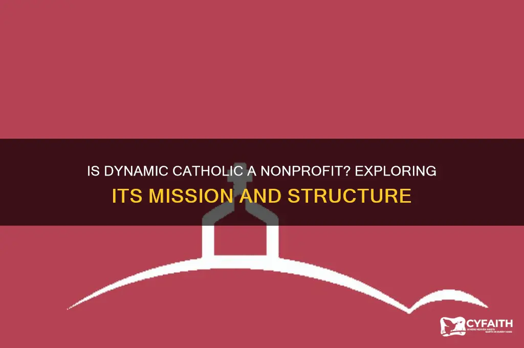 is dynamic catholic a nonprofit