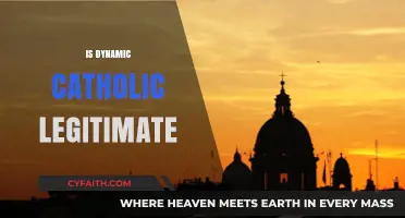 Is Dynamic Catholic Legitimate? Exploring Faith, Authenticity, and Impact