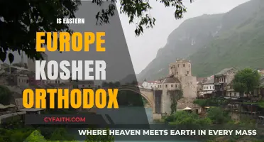 Exploring Eastern Europe's Jewish Communities: Are They Kosher Orthodox?
